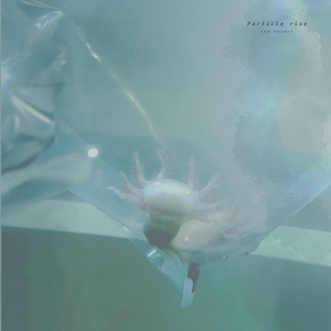 十大美女坐厕偷拍视频
