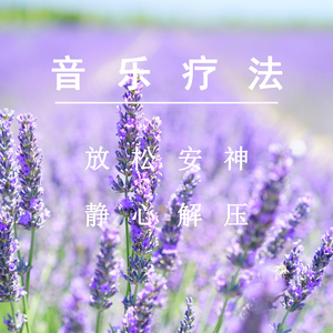 十大美女坐厕偷拍视频
